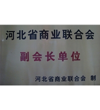 河北省商業(yè)聯(lián)合會(huì)副會(huì)長單位-酒店洗衣房設(shè)備